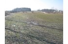 Property photo 14 - 1900's All Brick Home, Metal Frame Barn on 3.42 Acres